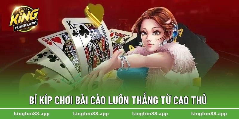 Bí kíp chơi bài cào luôn thắng từ cao thủ