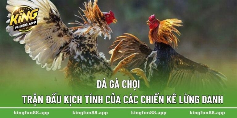 đá gà chọi