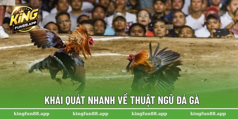 Khái quát nhanh về thuật ngữ đá gà