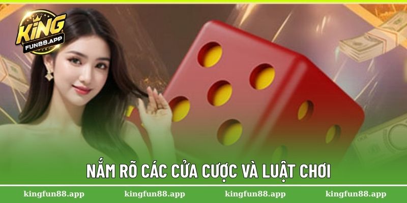 Nắm rõ các cửa cược và luật chơi